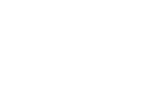 Brandspective
